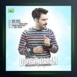 آهنگ دوست دارم از نوید یحیایی