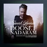 آهنگ دوست ندارم از سیاوش قمصری