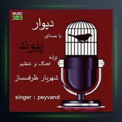 آهنگ دیوار از پیوند