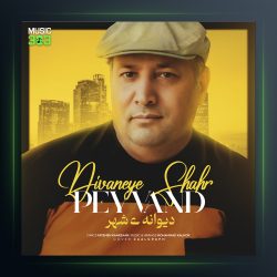 آهنگ دیوانه ی شهر از پیوند