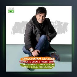 دانلود آهنگ دیوونتم دیوونه از حسین استیری