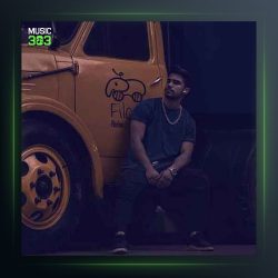 آهنگ دیوونه نشیا از هونام