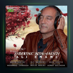 آهنگ دیوونه کننده از علی امامی