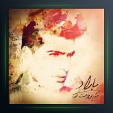 آهنگ دیگه نمی خوامت برو از باراد