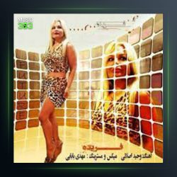 آهنگ رها کردی از فریده