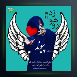 آهنگ رو هوا زدم از پیوند