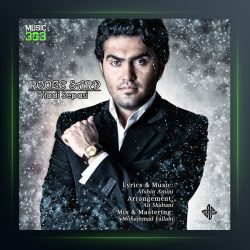 آهنگ روز سرد از هادی سپاسی