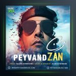 آهنگ زن از پیوند