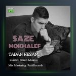 آهنگ ساز مخالف از تابان حسامی