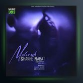 آهنگ شاخه نبات از مهراب