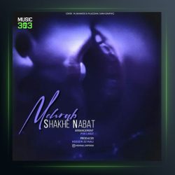 آهنگ شاخه نبات از مهراب