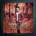 آهنگ شال سفید از میثم جمشیدپور