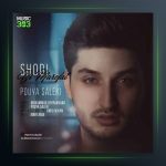 آهنگ شدی بی معرفت از پویا سالکی