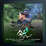 آهنگ شرمندم از مجید علیپور