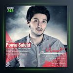 آهنگ شمالی از پویا سالکی