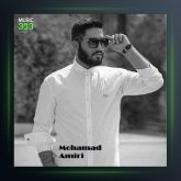 آهنگ شویل بی ستاره از محمد امیری