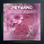 آهنگ شکوفه زمین از پیوند