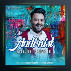 آهنگ عادی نیست از سیاوش قمصری