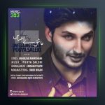 آهنگ عاشق بی احساس از پویا سالکی