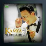 آهنگ عاشق میمونم از کامیار