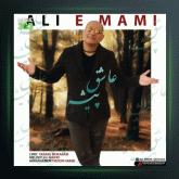 آهنگ عاشق پیشه از علی امامی