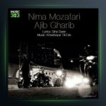 آهنگ عجیب غریب از سعید پانتر