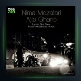 آهنگ عجیب غریب از سعید پانتر