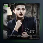 دانلود آهنگ عکس از پویا سالکی