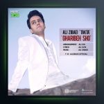 آهنگ غریبه شو از علی زیبایی