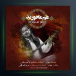 آهنگ غم مخورید از پرواز همای