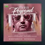 آهنگ فریب از پیوند