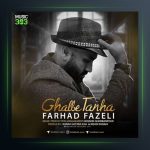 آهنگ قلب تنها از فرهاد فاضلی