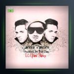 آهنگ لطفا نرو از سعید پانتر