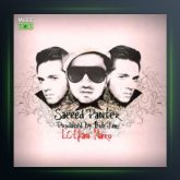 آهنگ لطفا نرو از سعید پانتر