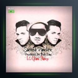 آهنگ لطفا نرو از سعید پانتر