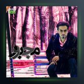 آهنگ مجبور از احسان الدین معین