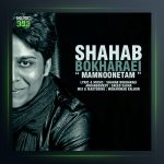 آهنگ ممنونتم از شهاب بخارایی