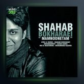 آهنگ ممنونتم از شهاب بخارایی