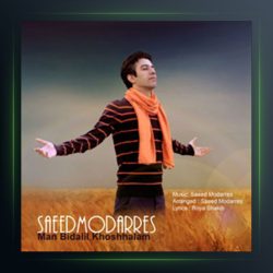 آهنگ من بی دلیل خوشحالم از سعید مدرس