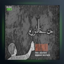 آهنگ من خالتورم از سعید پانتر