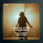 آهنگ من دیوانه از صادق زین