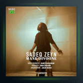 آهنگ من دیوانه از صادق زین