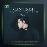 آهنگ منطقی از سعید پانتر