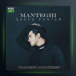 آهنگ منطقی از سعید پانتر