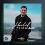 آهنگ موهات از سعید کرمانی
