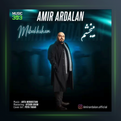 آهنگ میبخشم از امیر اردلان