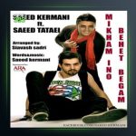 آهنگ میخوام بهت بگم از سعید کرمانی