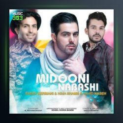 آهنگ میدونی نباشی از سعید کرمانی