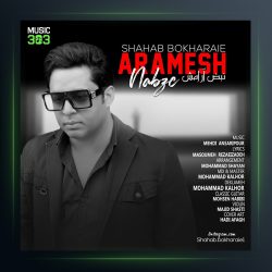 آهنگ نبض آرامش از شهاب بخارایی