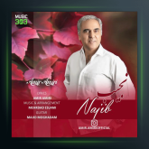 آهنگ نجیب از امیر امیری